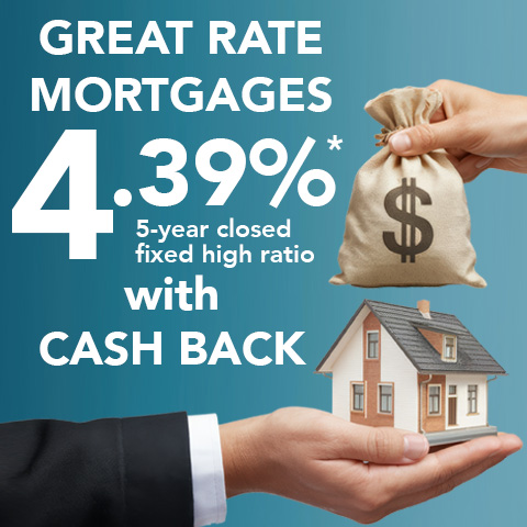Tandia Cashback Mortgage Offer